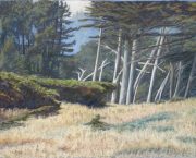 Cypress Meadow 14 x 20 by Tim Brody
