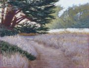 Evening Walk 13 x 16 by Tim Brody