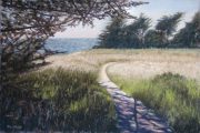 New Meadow 12 x 14 by Tim Brody