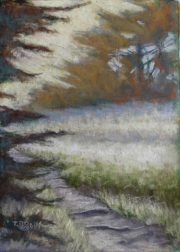 Small Vert. Red Bluff Trail 5 x 7 by Tim Brody