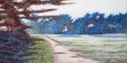 Wide Meadow 10 x 20