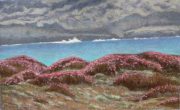 Black Point Channel 10 x 16 by Tim Brody