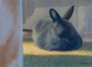 Bun Bun 8 x 11 by Tim Brody