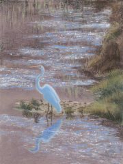 Great White Heron 11 x 14 by Tim Brody