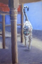 Pennylane 11 x 8
